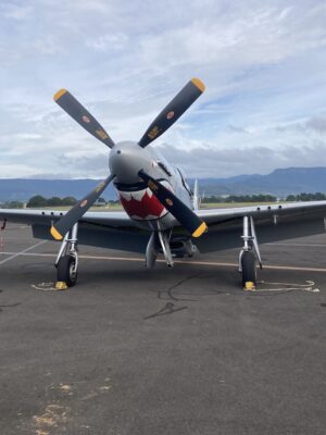 RAAF Mustang